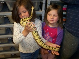 my kids with a bumble bee spider