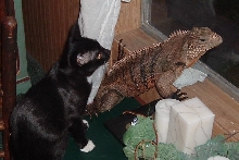 Chaos and Freddy spending time together