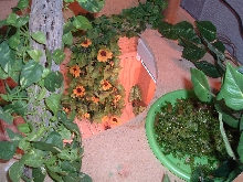 looking down from right side