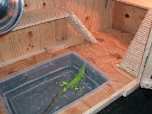 Ed in new pond