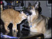 Dante and Rosie
