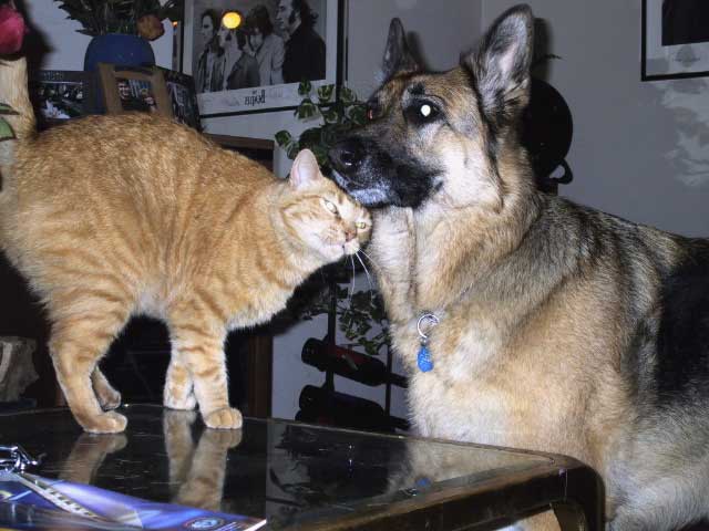 Dante and Rosie