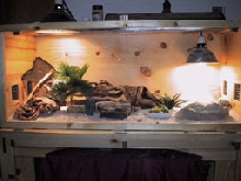 Rocky's cage