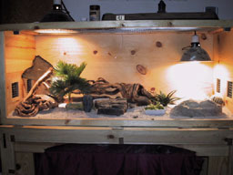 Rocky's cage
