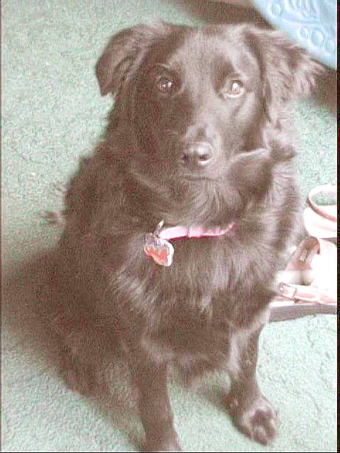 This is Bailey now