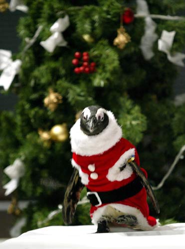 santa