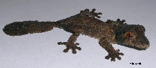 side view