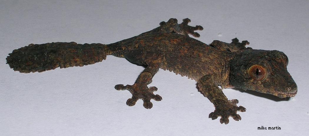 side view