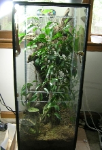 30 gal long converted to tall