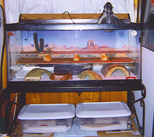 tri-level leo cage