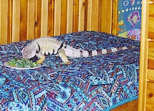 ed eatin on my bed!!