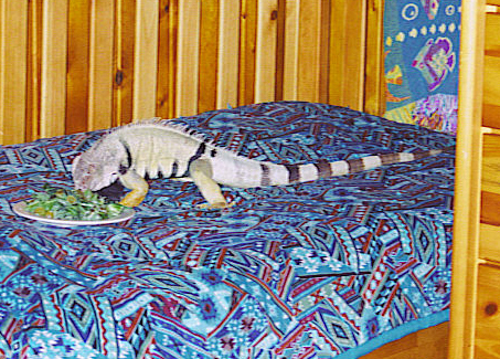 ed eatin on my bed!!