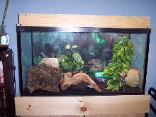 tank