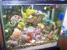18 Gallon High 2