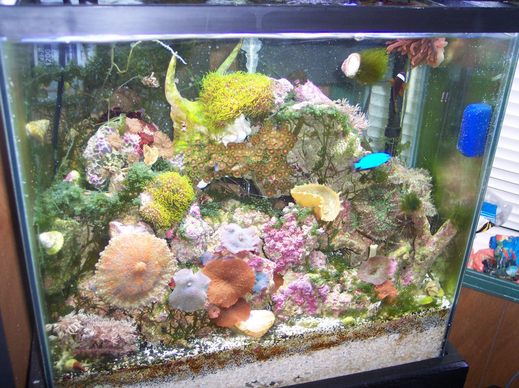 18 Gallon High 2