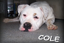 Cole