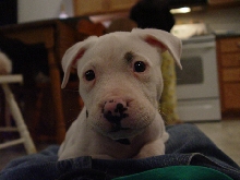 Baby Cole