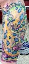 octopus tattoo