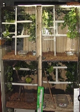 acrylic cages