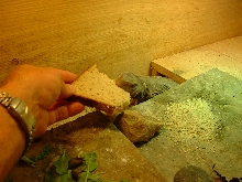 Thor -bread.