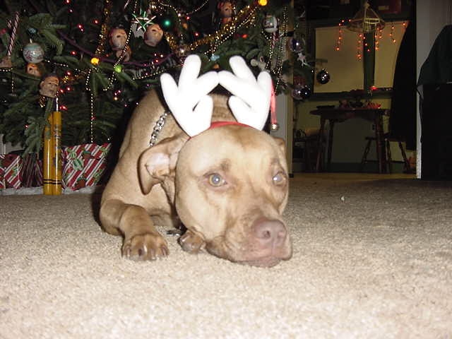 Eve with antlers