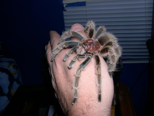 I was horrified.