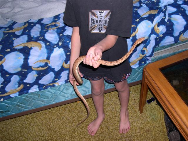 cliffordi son holding.