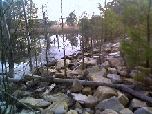 northern water snake and racer habitat