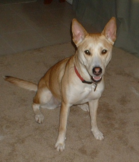 Molly #2