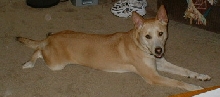 Molly