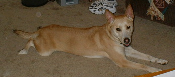 Molly