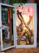 Croc Monitor cage