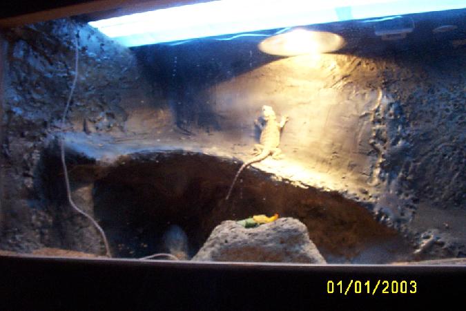 Corner Shot