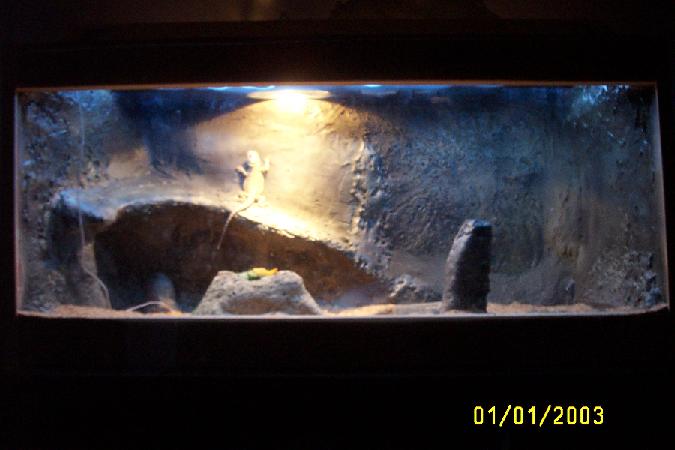 Full Cage Shot