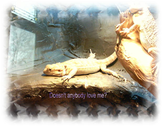 Very sad Mindy