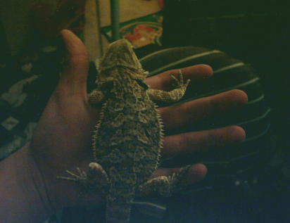Another of Sonny
