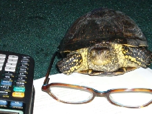 Knute wants to help with homework...