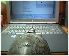 Knute Computes