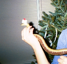 Santa Snake