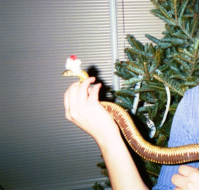 Santa Snake