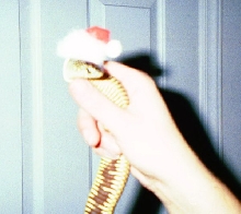 Santa Snake 2