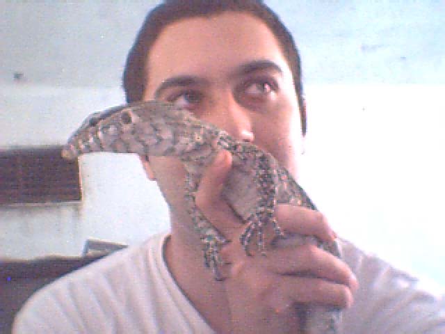 nile & me