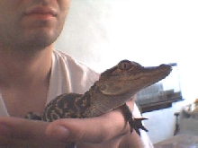 another pic