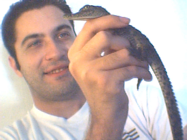 Croc