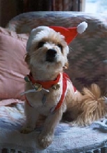 Bexley Claus