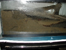 enclosure