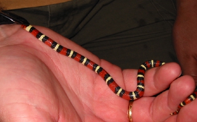 sk06b