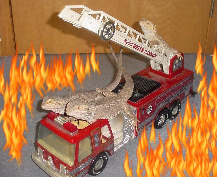 Rescue Dragons