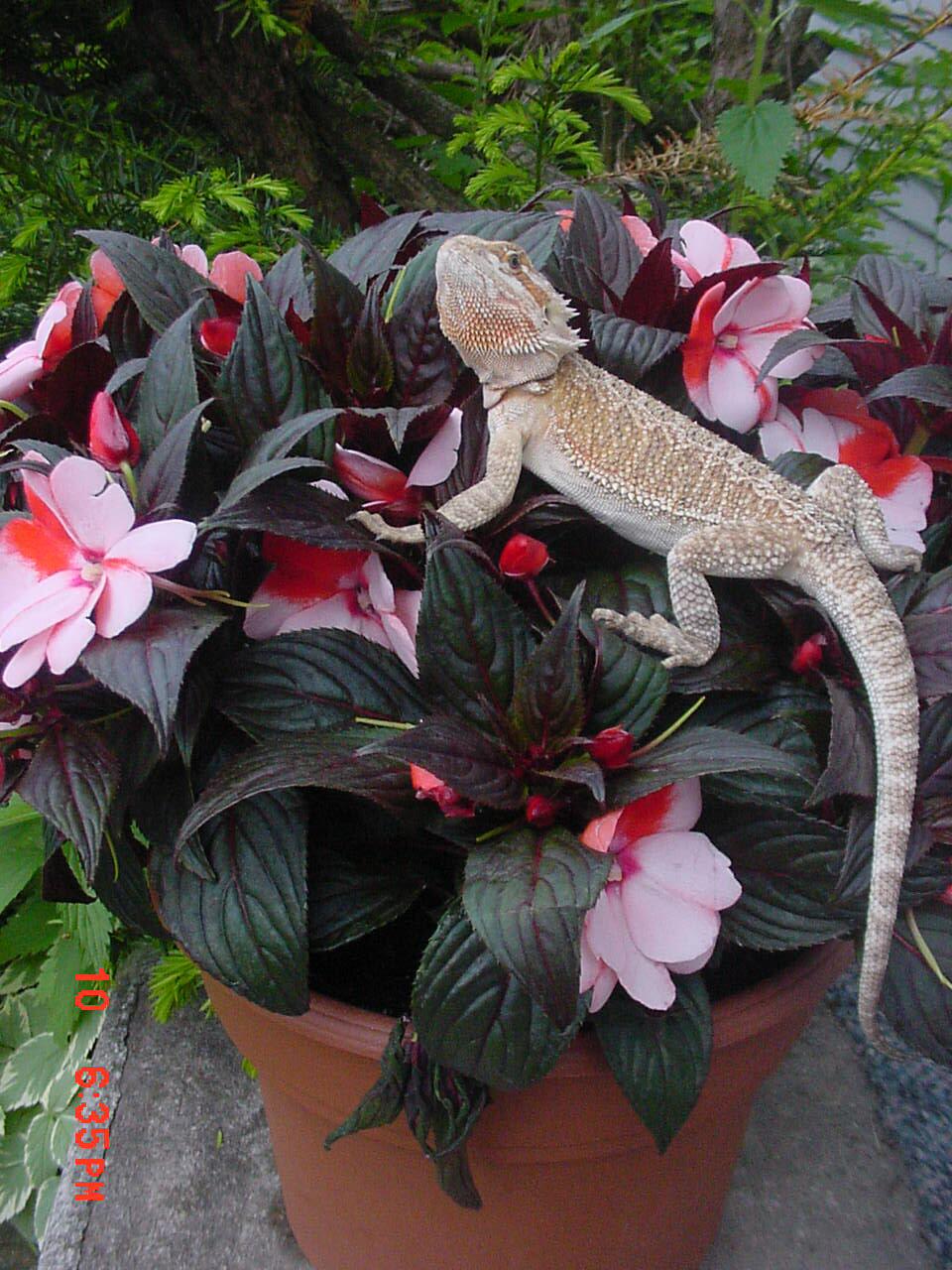 Happy Mom's Day!
