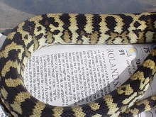 carpet python